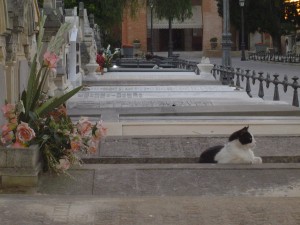 cementerio de valencia 022